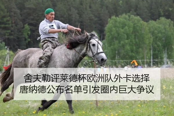 舍夫勒评莱德杯欧洲队外卡选择 唐纳德公布名单引发圈内巨大争议
